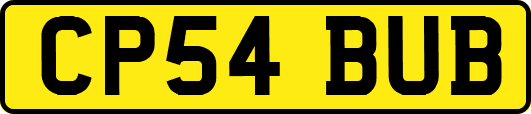 CP54BUB