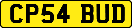 CP54BUD