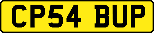 CP54BUP