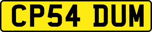CP54DUM