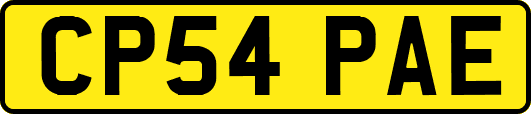 CP54PAE