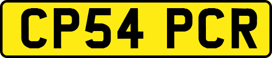 CP54PCR