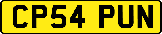 CP54PUN