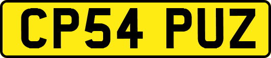 CP54PUZ