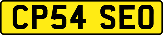 CP54SEO