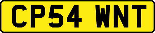 CP54WNT