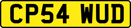 CP54WUD