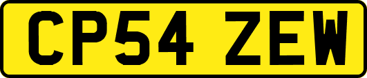 CP54ZEW
