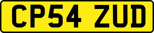 CP54ZUD