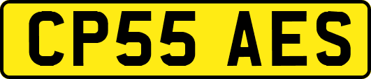 CP55AES