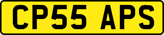 CP55APS
