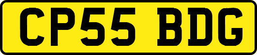 CP55BDG