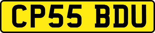 CP55BDU