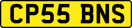 CP55BNS