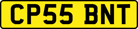 CP55BNT