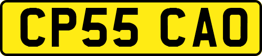 CP55CAO