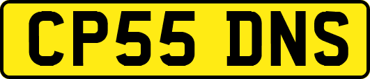 CP55DNS