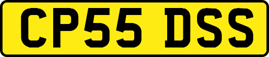 CP55DSS