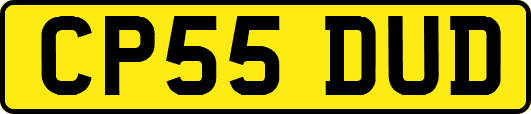 CP55DUD