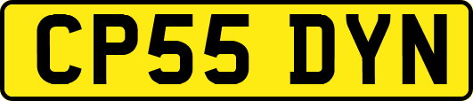 CP55DYN
