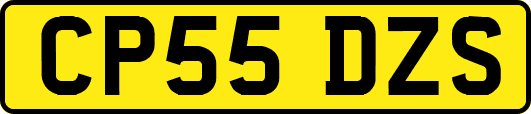 CP55DZS
