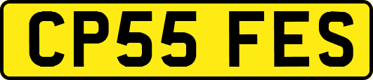 CP55FES