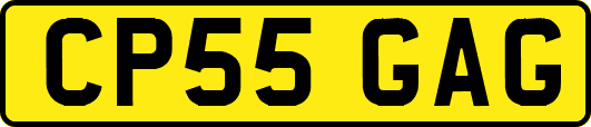 CP55GAG