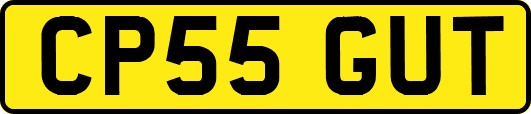 CP55GUT