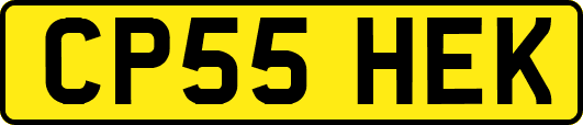 CP55HEK