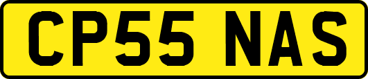 CP55NAS