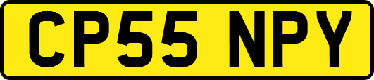 CP55NPY