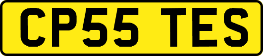 CP55TES