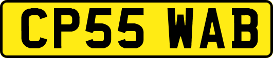CP55WAB