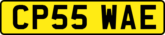 CP55WAE