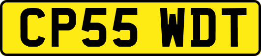 CP55WDT