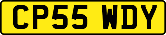 CP55WDY