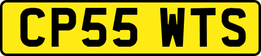 CP55WTS