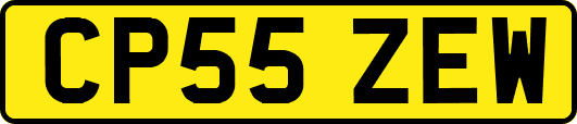 CP55ZEW