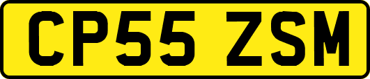 CP55ZSM