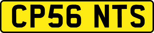 CP56NTS