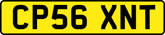 CP56XNT