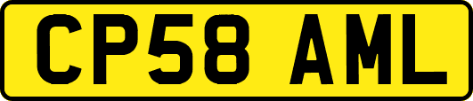 CP58AML