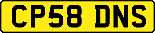 CP58DNS