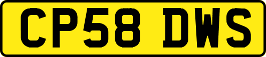 CP58DWS