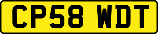 CP58WDT