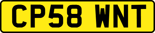 CP58WNT