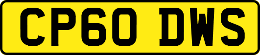 CP60DWS