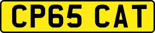 CP65CAT