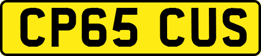 CP65CUS