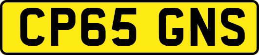 CP65GNS
